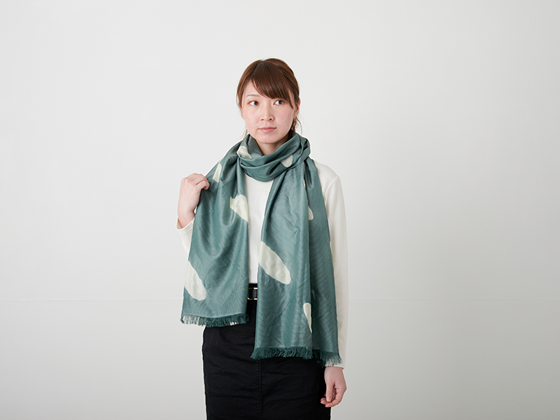 hitsujigumo_green_01